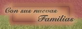 Nuestros perros con sus nuevas familias